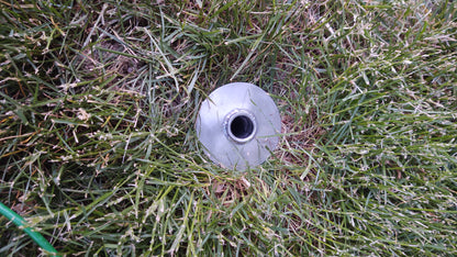 Quick Remove Stainless Dog Tie-out